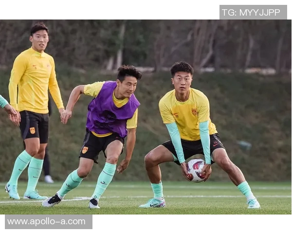 中国与卡塔尔精彩对决全场录像回放及精彩瞬间解析